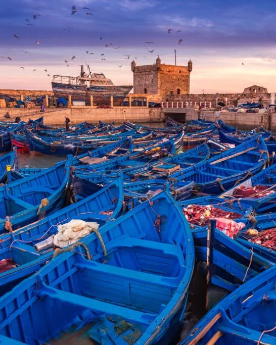 Le port : Les barques bleues des pêcheurs